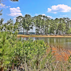 The campground from our walk (The View on the left)