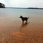 Rikka in the reservoir
