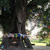 IMG_1620.JPG, 2007 - Nepal