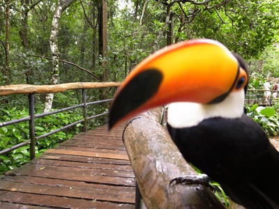 R0012235 R0012235