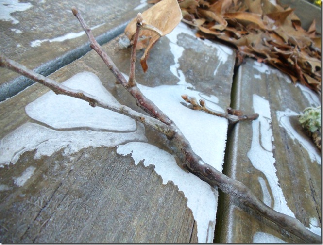 Ice coated deck