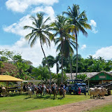 Rancho La Cueva - El Cedro, Miches, Dominican Republic - http://www.rancholacueva.com