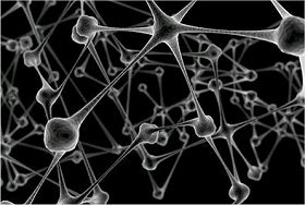 Red neuronal Red neuronal