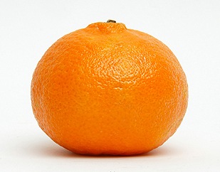 [clementine[8].jpg]