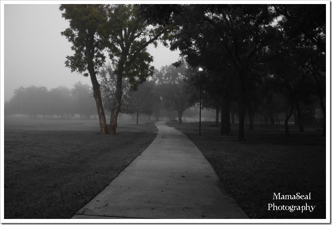 Black and White Some Color Black and White Some Color