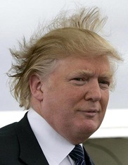 trumphair