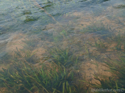 Yulong River Rafting picture guilin escapade  photo