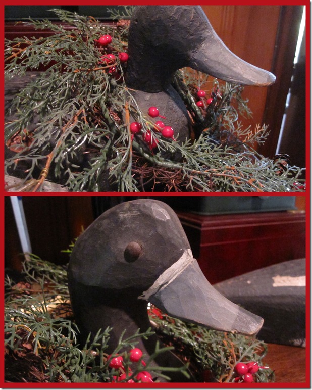 duck collage