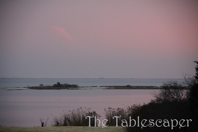 [Laras-Project-03110.jpg]