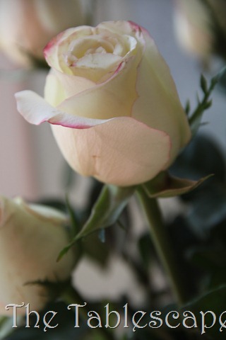 [Royal-Wedding-2373.jpg]