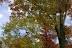 DSC_7739.JPG