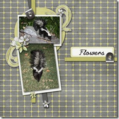 Flowers-1