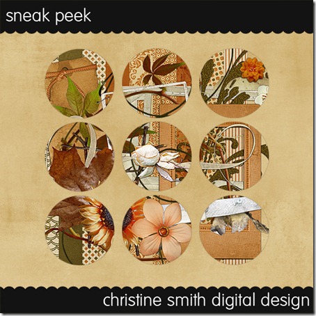 csmith-sneak