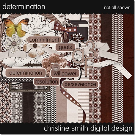 [csmith-determination_thumb1[2].jpg]
