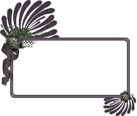 wisdom_frame