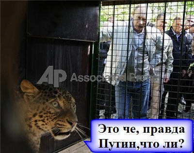 Путин - Сочи - леопард