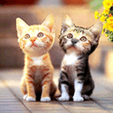 Beijinhos!!!