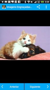 How to download Imagens Engraçadas de Animais 2.0 mod apk for pc