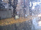Autumn in Brianza.