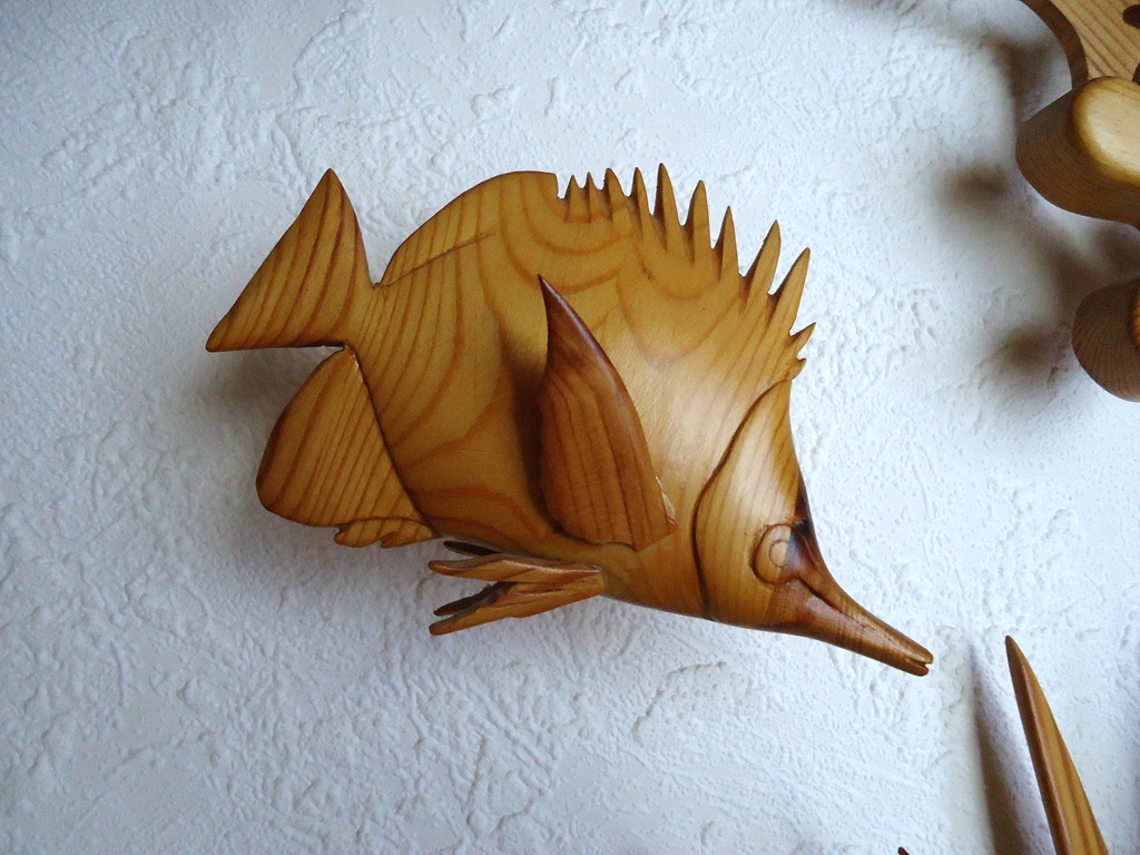[acquario55.jpg]