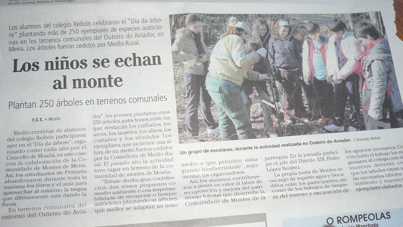 Repoboación