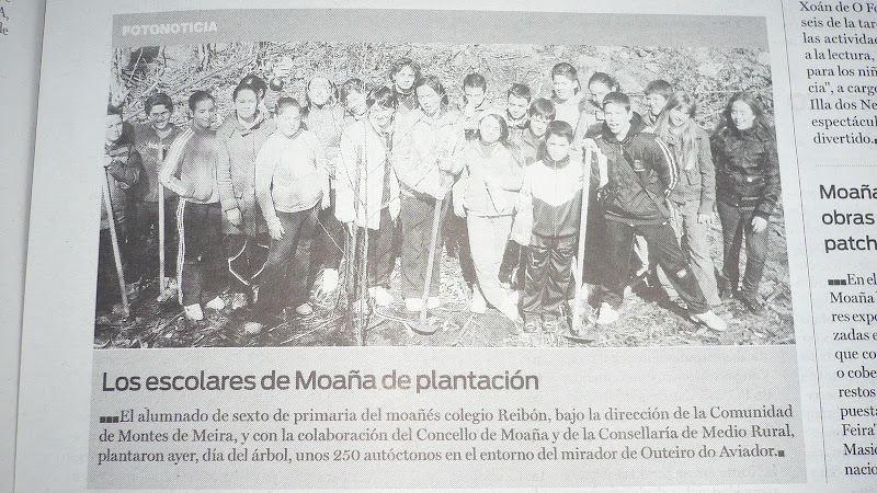 Repoboación
