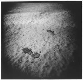 footprints-small.jpg