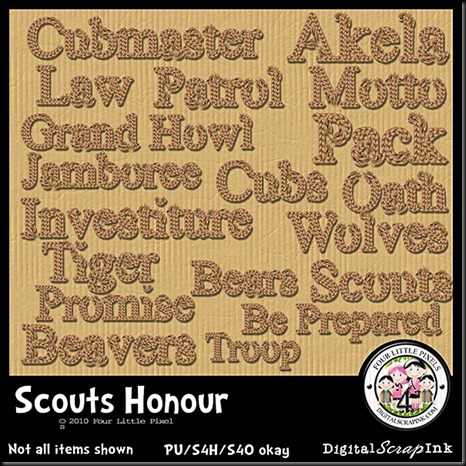 4LPScoutsHonourWAweb