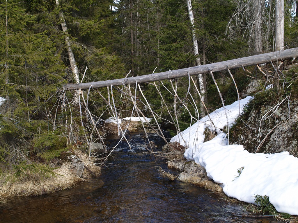 [P4180011_edited[6].jpg]