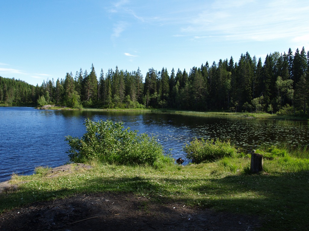 [P7040005[4].jpg]