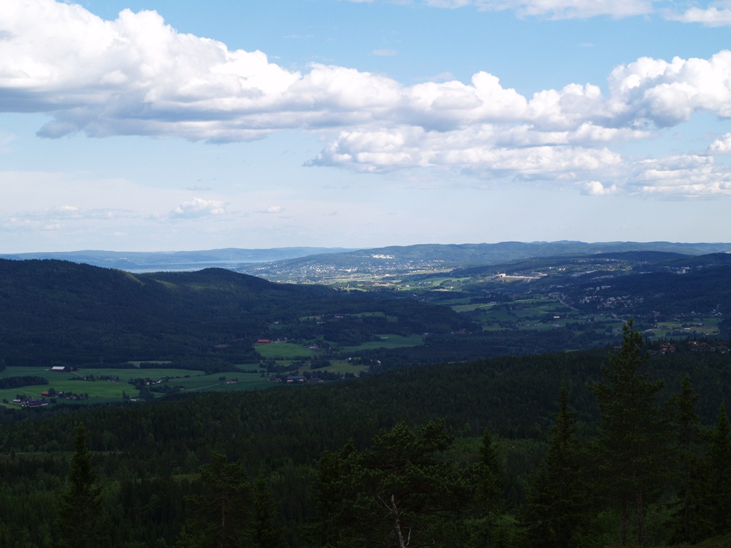 [P7060020[4].jpg]