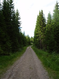 P7060049