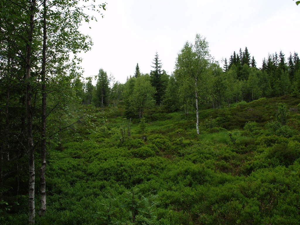 [P7060045[4].jpg]