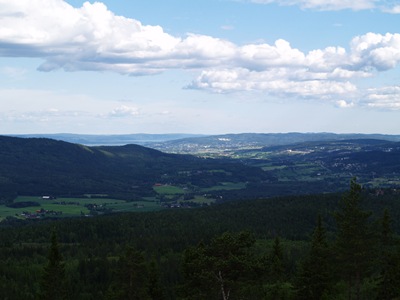 P7060019