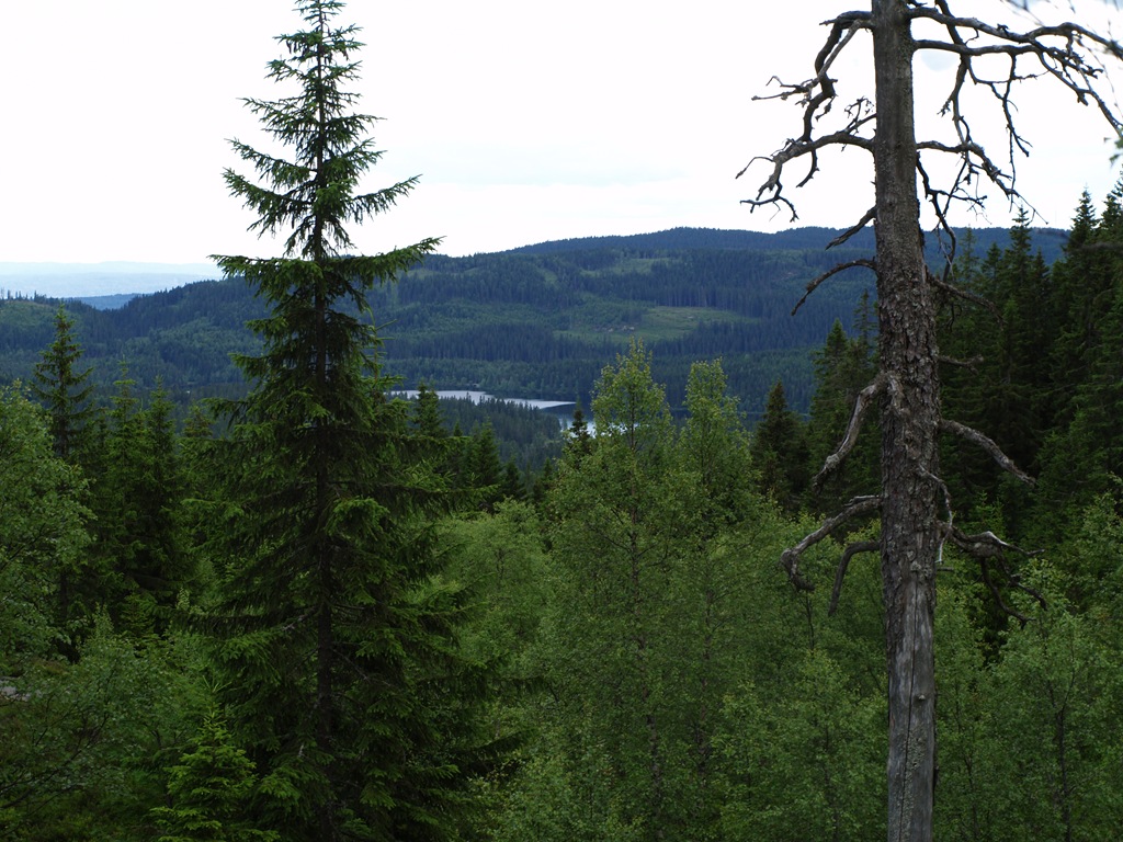 [P7060041[4].jpg]
