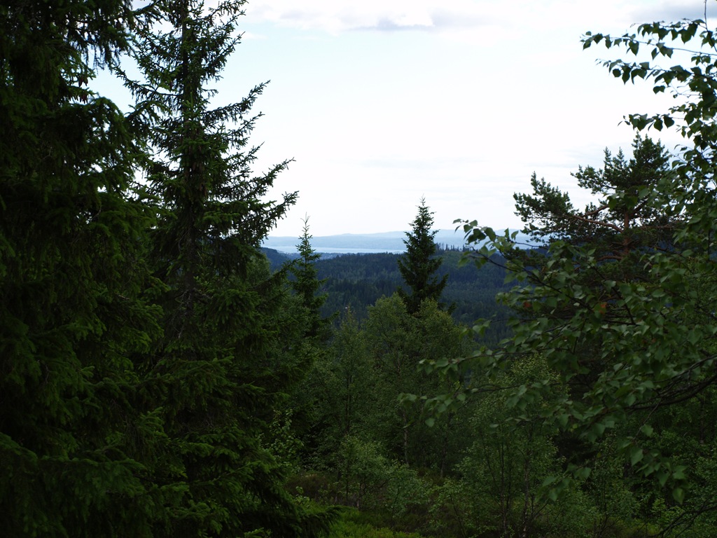 [P7060042[4].jpg]