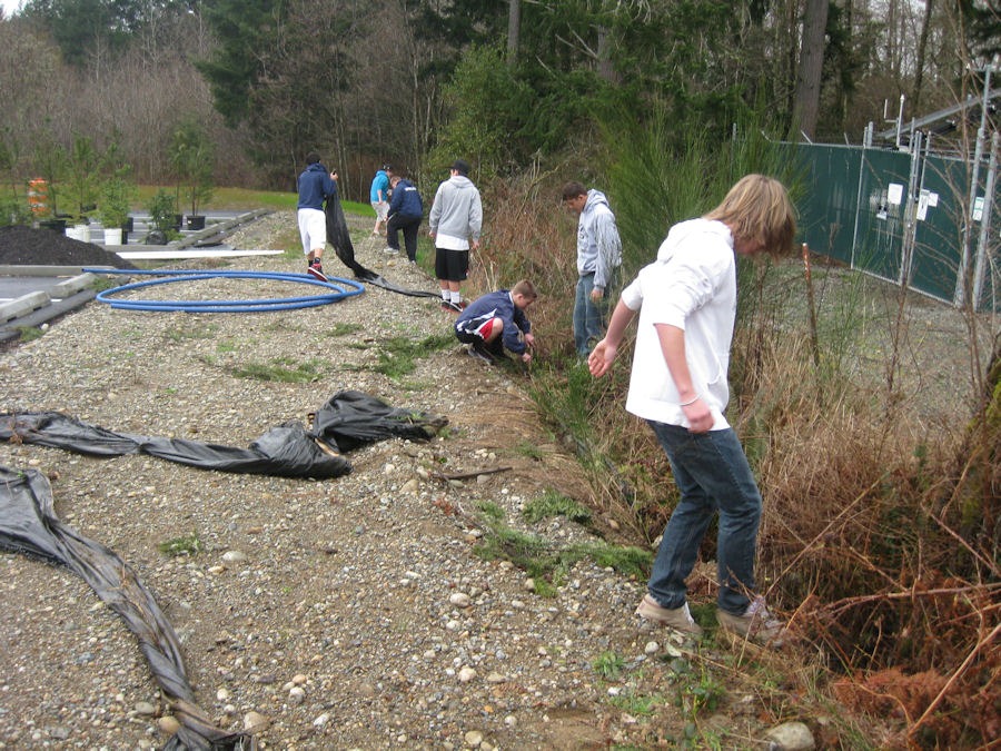 [silt fence[3].jpg]