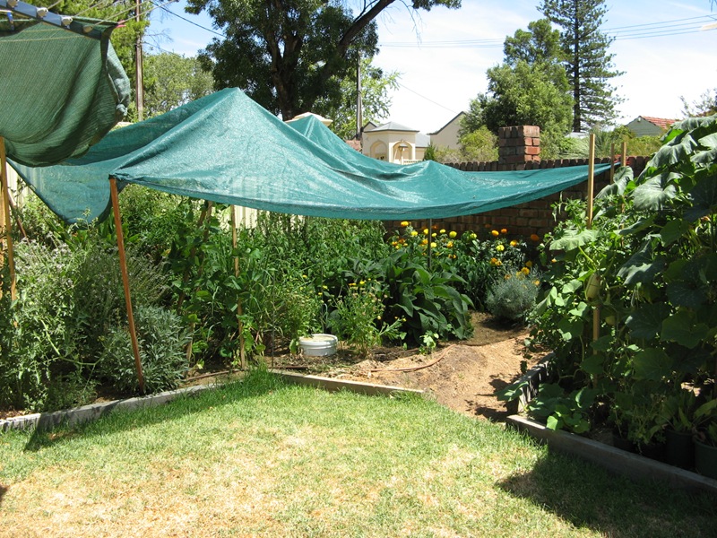 [Garden Wrap 002[3].jpg]