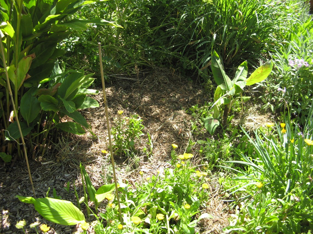 [Mulch-Making-113.jpg]