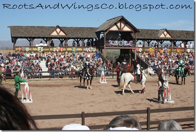 renaissance festival 1