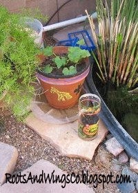 [earth day kids garden[3].jpg]