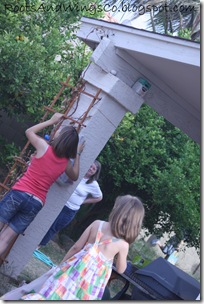 easter egg hunt ae easter egg hunt ae