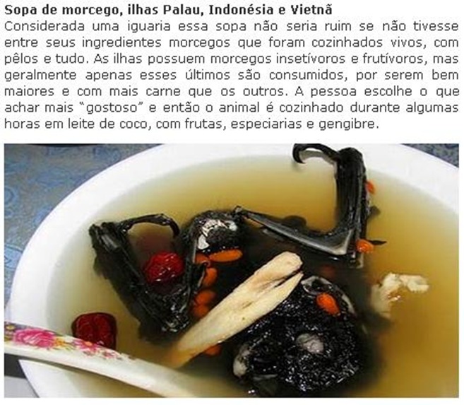 sopamorcego
