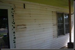 IMG_1696 IMG_1696