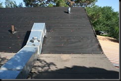 IMG_1742 IMG_1742