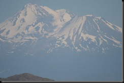 IMG_1499 IMG_1499