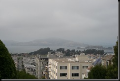 IMG_1588 IMG_1588