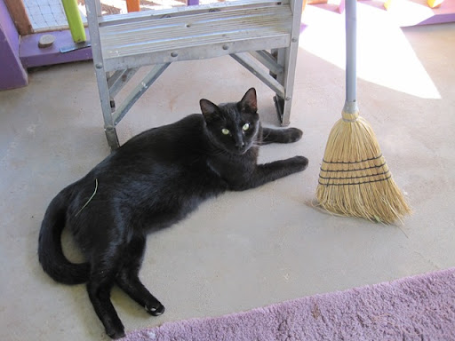 Here's Humphrey movie