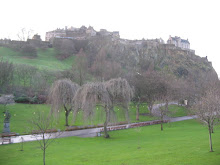 Image 14