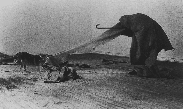 [Beuys 1974 america likes me 2[1].png]
